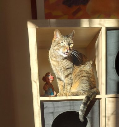 Pili