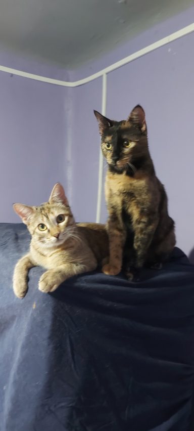 Nora y Arya