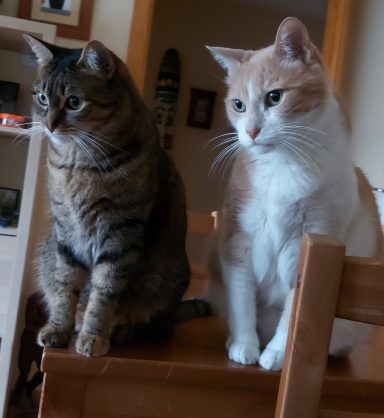 Mili y Roco