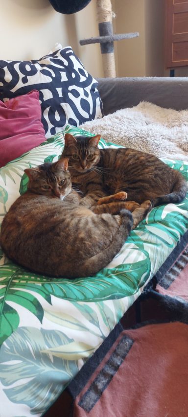 Pili y Mili